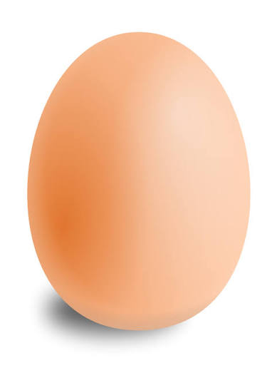 Premium eggs logo