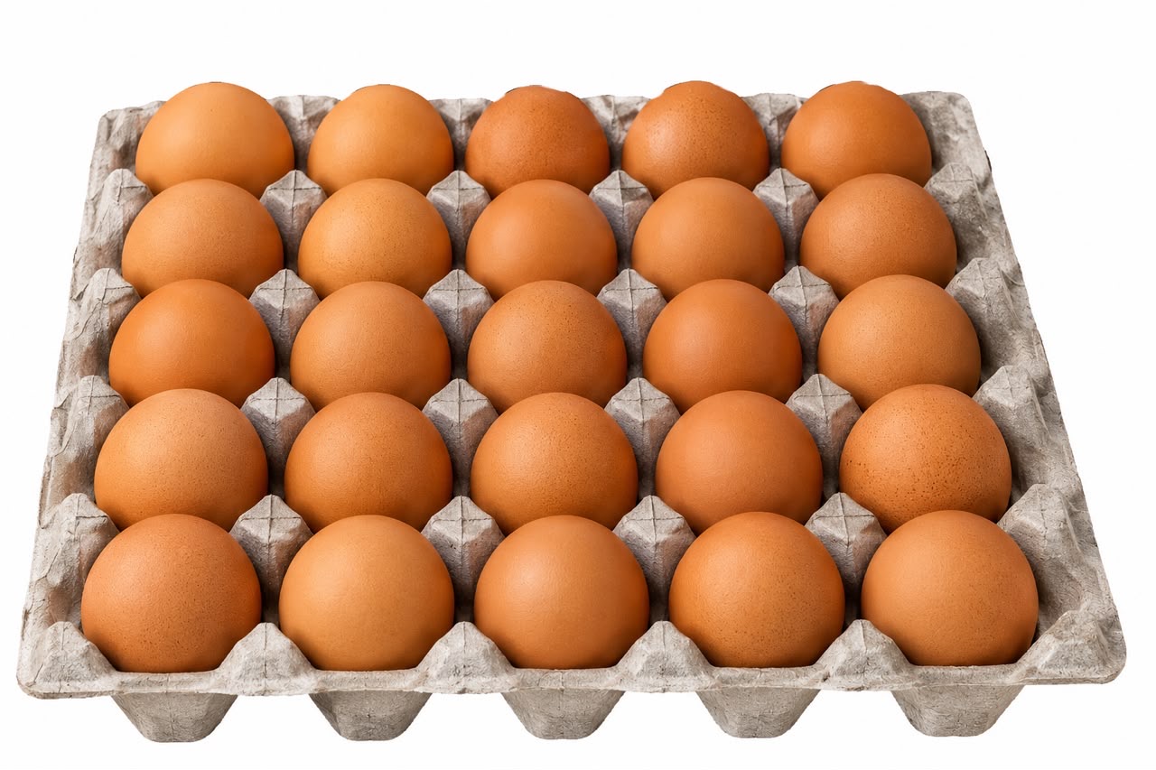 Fresh eggs tray